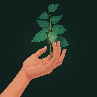 Capitulo 13º - Arnold Plant