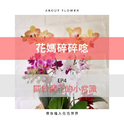 EP4 關於蘭花的小常識