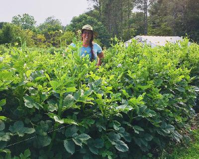 Episode 46: Overwintering Dahlias in the Ground, Zones 5 and Warmer Episode 46: Overwintering Dahlias in the Ground, Zones 5 and Warmer