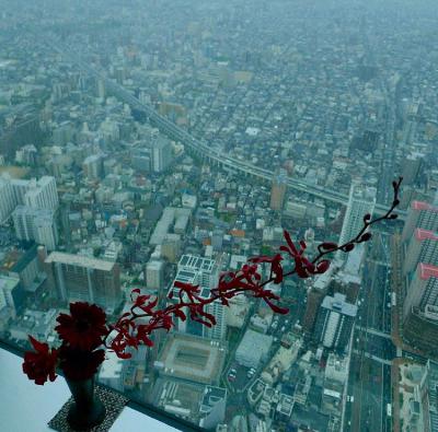 超高層いけばな（監視付き） from Radiotalk