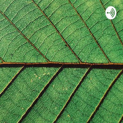 Sábado Verde podcast 20 #Balance HOT Fin de Temporada Sábado Verde podcast 20 #Balance HOT Fin de Temporada