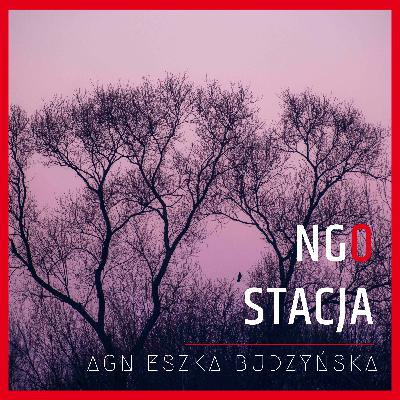 #95: Co chat GPT myśli o organizacjach? Jaka jest prawda?