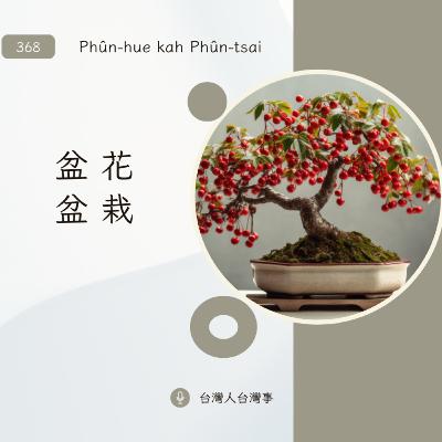369 盆花佮盆栽 369 盆花佮盆栽