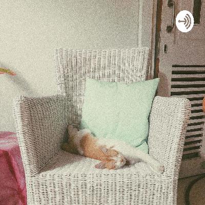 SELAMAT ULANG TAHUN❤️