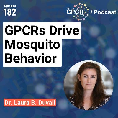 Why Mosquitoes Hunt You: The GPCR Behind the Bite