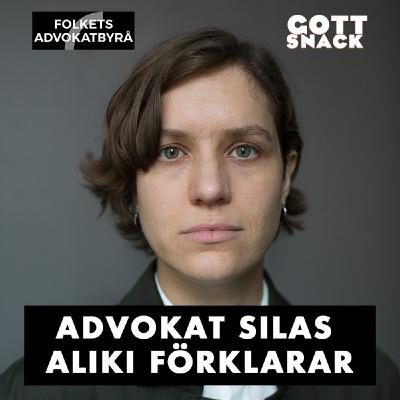 Advokat Silas Aliki förklarar: Straffreformutredningen