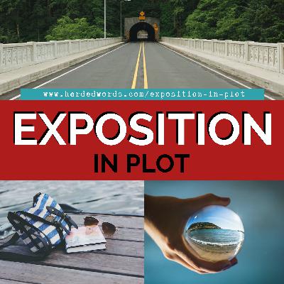 Exposition in Plot