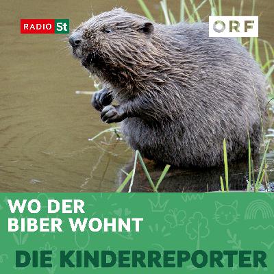 Wo der Biber wohnt Wo der Biber wohnt