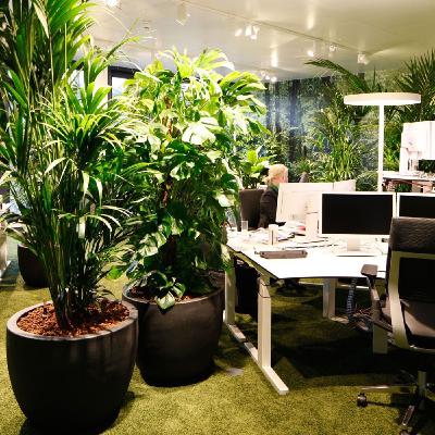 NFON - Dieci idee per lavorare senza impattare sull'ambiente