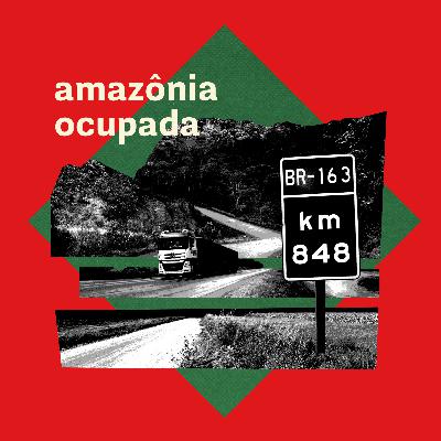 De floresta a mercadão de soja