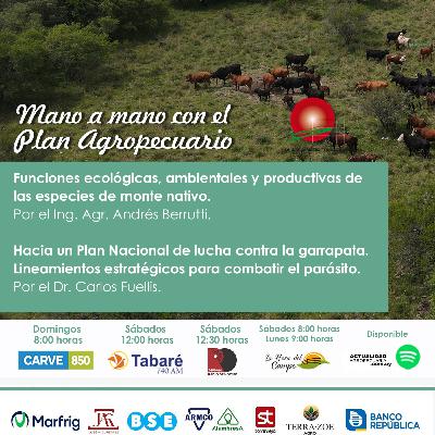 Especies de monte nativo. Garrapata.