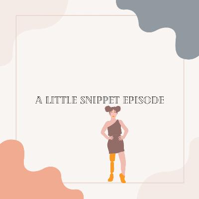 Snippet Episode