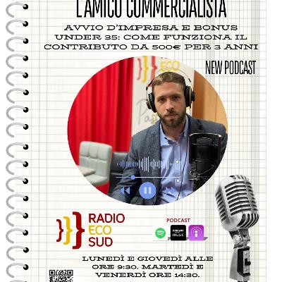 L'amico commercialista 28 puntata