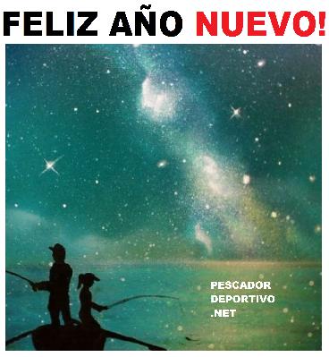 Feliz Año Nuevo 2024!