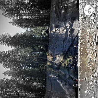 The Haunted Stories Behind Paradise (Trailer) The Haunted Stories Behind Paradise (Trailer)