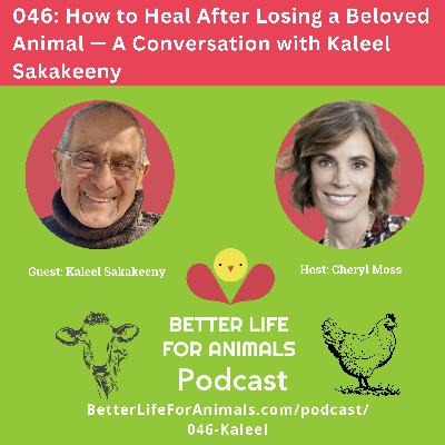 046: How to Heal After Losing a Beloved Animal — A Conversation with Kaleel Sakakeeny 046: How to Heal After Losing a Beloved Animal — A Conversation with Kaleel Sakakeeny