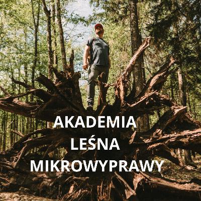 Dlaczego boimy się wilków?