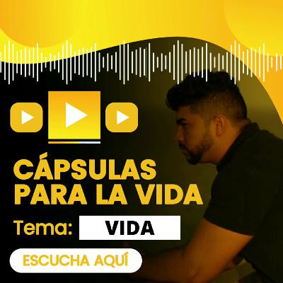 Vida Vida