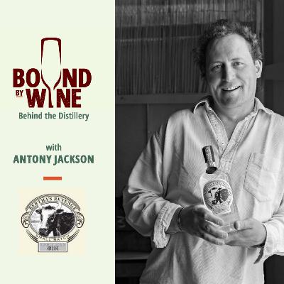 Bertha's Gin: Antony Jackson Bertha's Gin: Antony Jackson