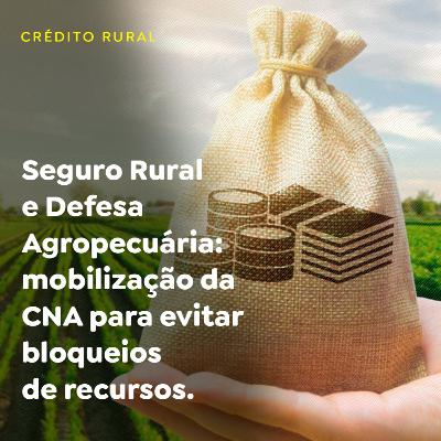Seguro Rural e Defesa Agropecuária: mobilização da CNA para evitar bloqueios de recursos