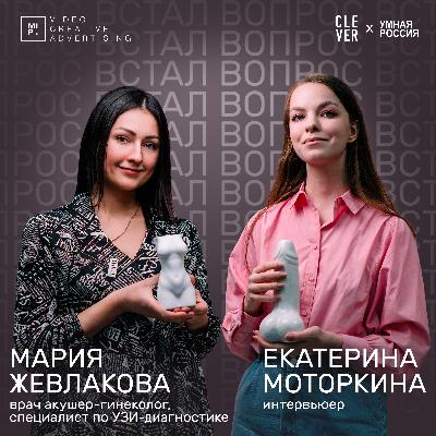 Строение мочеполовой системы у мужчин и женщин