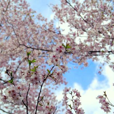 T1 E2- ANSIEDADE E DEPRESSÃO NA TERCEIRA IDADE