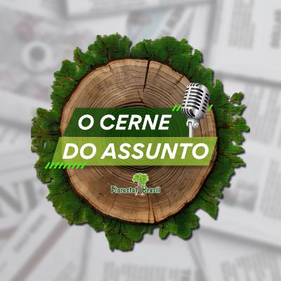 Mariah Carey em Belém, Amazonia no Limite e Demissões no setor florestal - O Cerne do Assunto