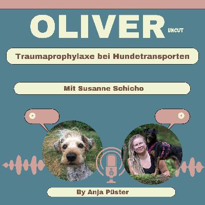 Traumaprophylaxe bei Hundetransporten