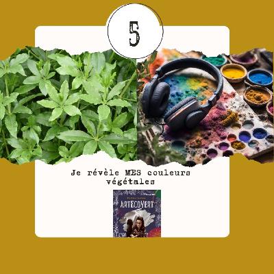 Je révèle mes couleurs végétales , ArtEcoVert me passe le micro 5