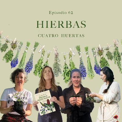 Ep 62 Hierbas Medicinales