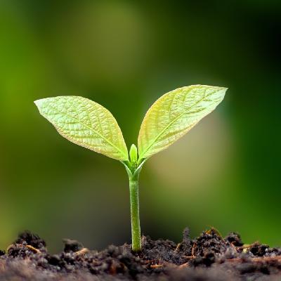 As God Sees Us | Rev. Andrew Chappell