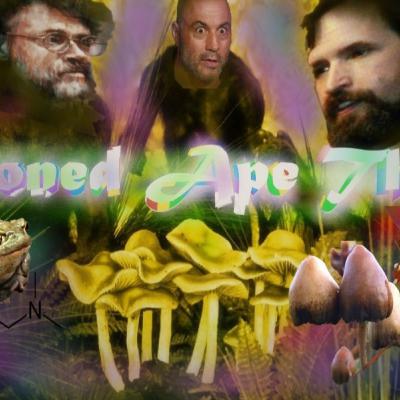 Stoned Ape Theory - Terence McKenna & The Wonders of Mycelium