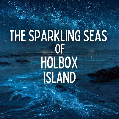 The Sparkling Seas of Holbox Island (Premium)