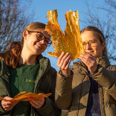 DIE BIOPIONIERE | Anne Lamp & Johanna Baare – Die Spurlosen