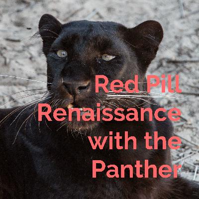 Welcome to the Red Pill Renaissance channel..a welcome and introduction.