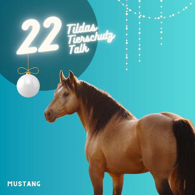 22. Türchen ✨