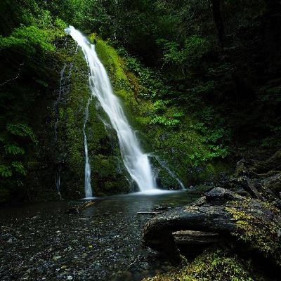 Olympic National Park
