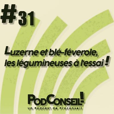 #31 - Luzerne et blé-féverole, les légumineuses à l'essai ! #31 - Luzerne et blé-féverole, les légumineuses à l'essai !