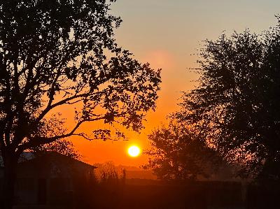 The High-Vibration Warrior: Why True Strength Isn't in Anger, but in Mastering Your Mind and Energy.