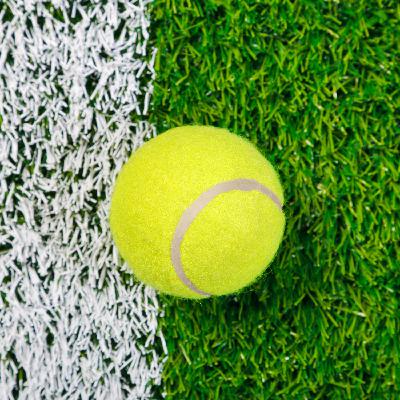 A look ahead to the weekend of sport