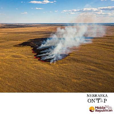 Battling the Blaze: A Conversation with Tim Nicholson, Fire Chief