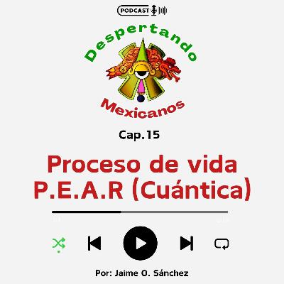 (Ep.15) - Proceso de vida P-E-A-R (Cuántica)