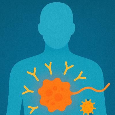 Energy Dynamics in the Autoimmune Disorders