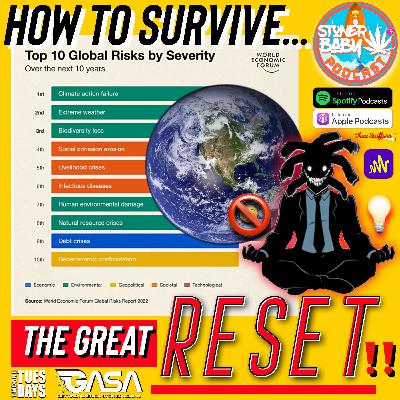 How To Survive The Great Reset