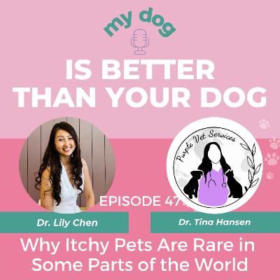 Why Itchy Pets Are Rare in Some Parts of the World w/ Dr. Tina Hansen