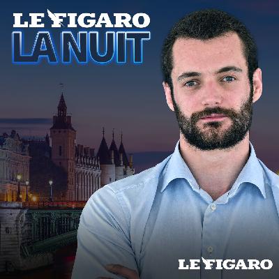 De l'interview politique jusqu'au combat de Jiu-jitsu : une nuit (musclée) avec Louis Sarkozy