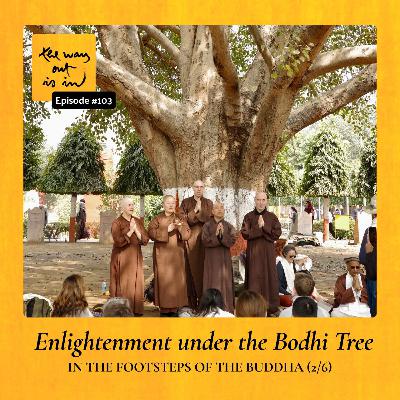 In the Footsteps of the Buddha (2/6) | Enlightenment under the Bodhi Tree | Episode 103