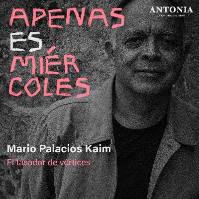 Mario Palacios Kaim - El tasador de vértices Mario Palacios Kaim - El tasador de vértices