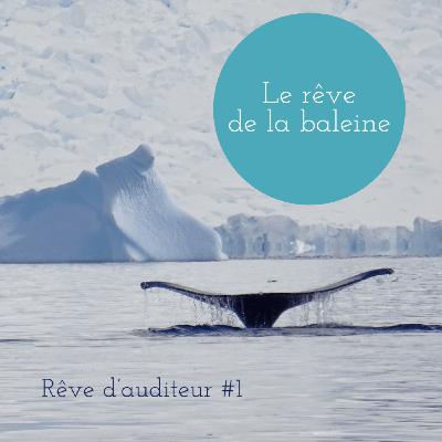 Rêve d'auditeur #1 :  Le rêve de la baleine Rêve d'auditeur #1 :  Le rêve de la baleine