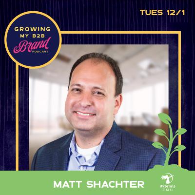 Why a CEO Needs a Fractional Executive to Build Their B2B Brand